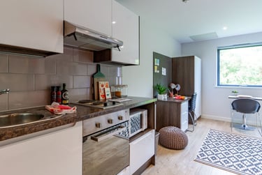 Premium Studio at Cricket Field Court, Prince of Wales Road, University Of Exeter, Exeter, EX44FU - Image 5